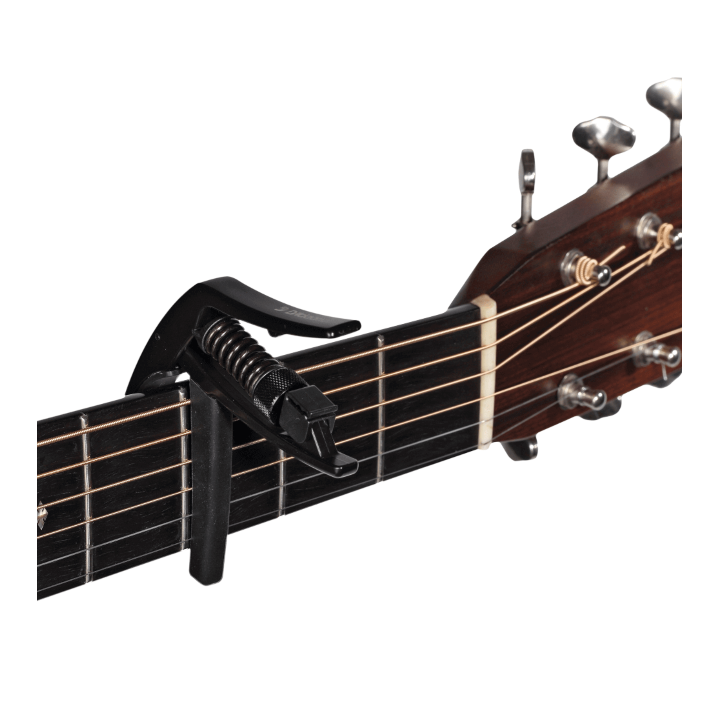 Acquista D'ADDARIO Pw-Cp-13 online | Merula Strumenti Musicali