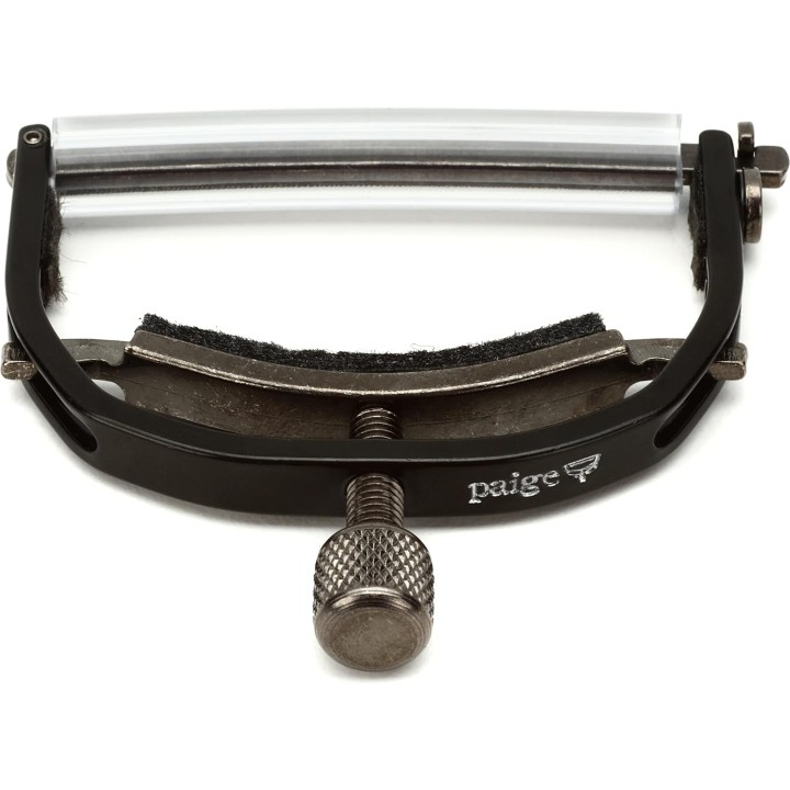 Acquista PAIGE P-12E online | Merula Strumenti Musicali