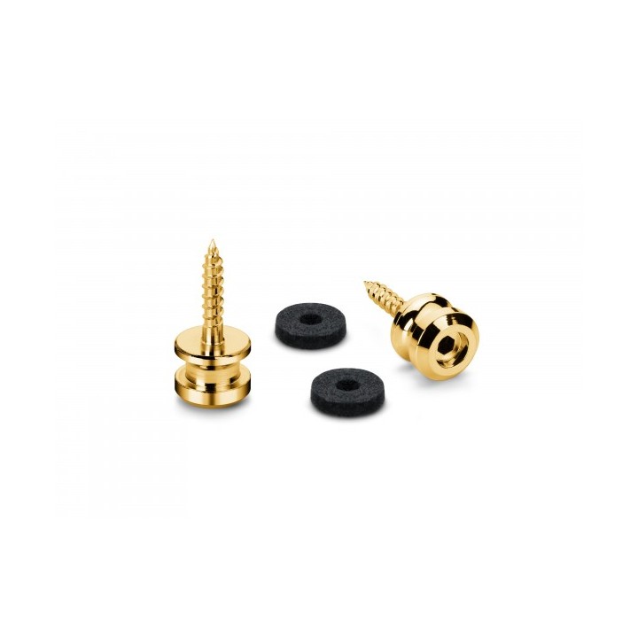 Acquista SCHALLER 24060500 BUTTONS FOR S-LOCK S GOLD online | Merula Strumenti Musicali