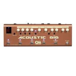 Acquista CARL MARTIN ACOUSTIC GIG CM0025 online | Merula Strumenti Musicali