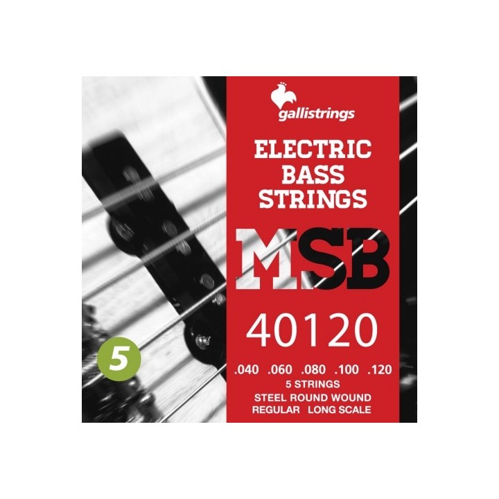 Acquista GALLI STRINGS STRINGS GA MSB40120 online | Merula Strumenti Musicali