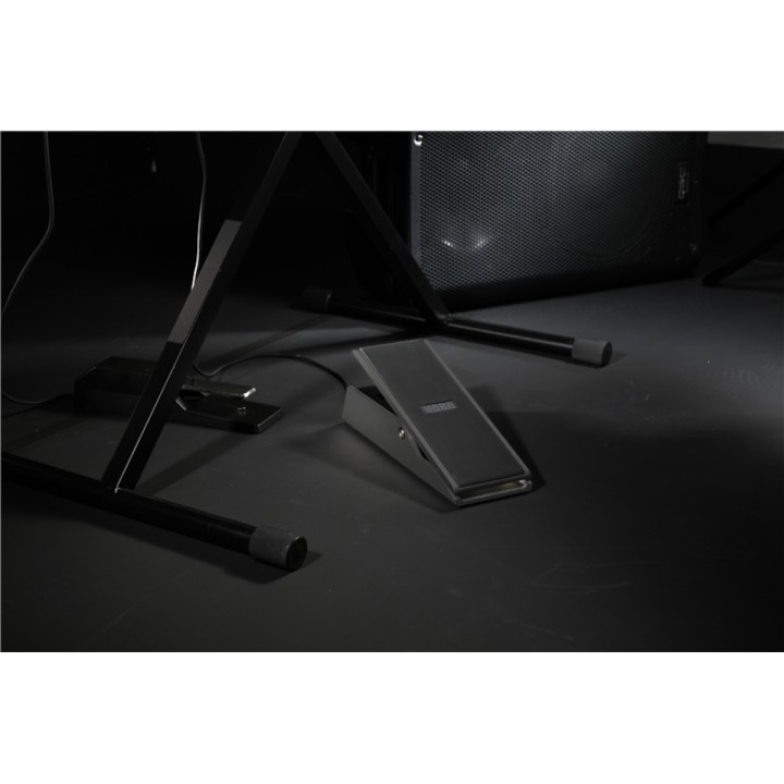 korg xvp-20 pedale espressione volume
