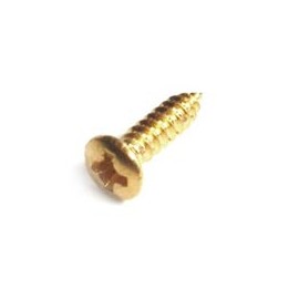 Acquista PARTS PLANET WO2110G CONFEZIONE 50 VITI TESTA OVALE-DORATE online | Merula Strumenti Musicali