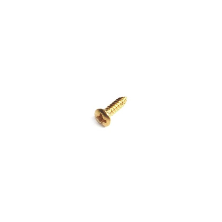 Acquista PARTS PLANET WO2110G CONFEZIONE 50 VITI TESTA OVALE-DORATE online | Merula Strumenti Musicali