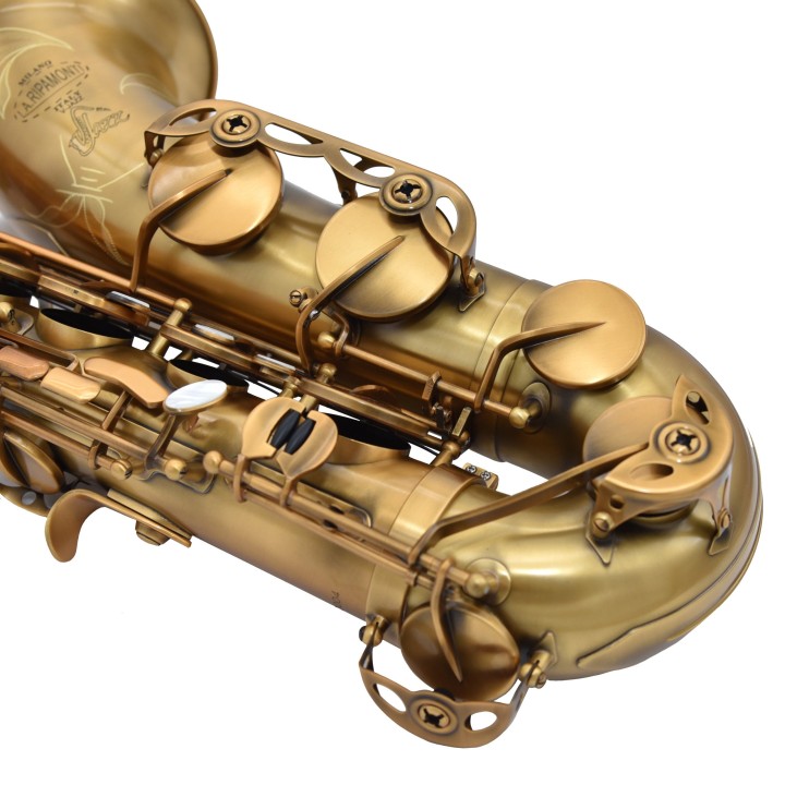 Acquista RIPAMONTI 5040vfr Sassofono Tenore Sib online | Merula Strumenti Musicali