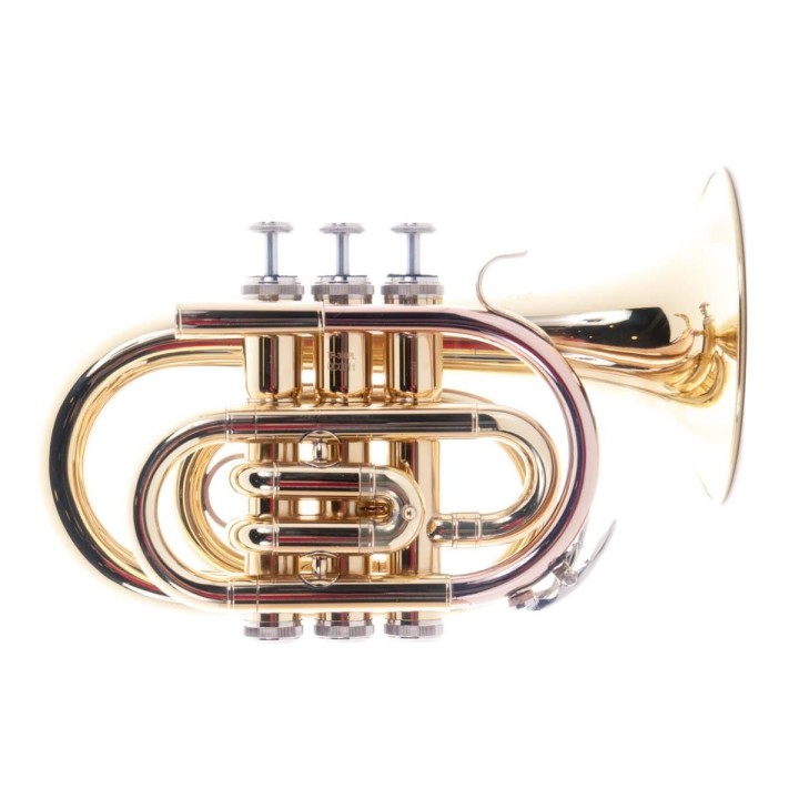 Acquista J.MICHAEL Tr350pl Tromba Pocket In Sib online | Merula Strumenti Musicali
