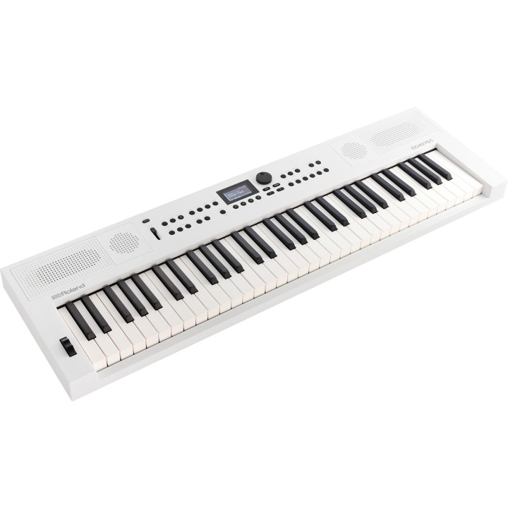 roland go keys 5 wh tastiera digitale