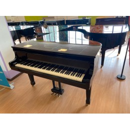 Acquista RIEGER KLOSS MOD. 172 (USATO) online | Merula Strumenti Musicali