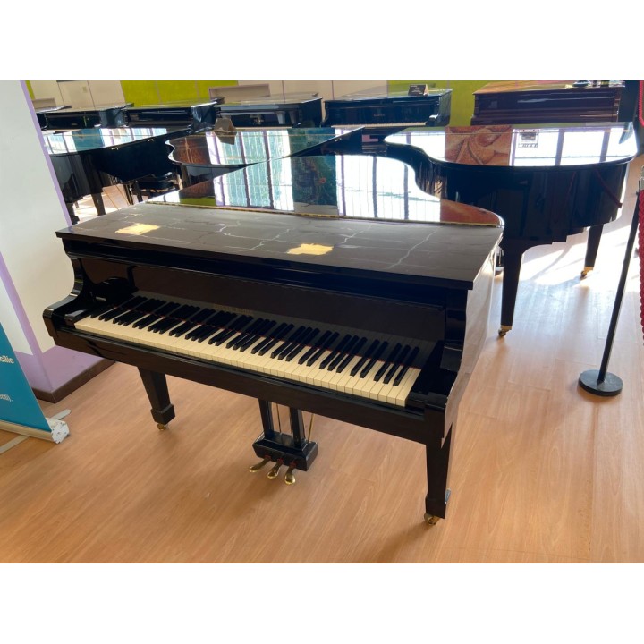 Acquista RIEGER KLOSS MOD. 172 (USATO) online | Merula Strumenti Musicali