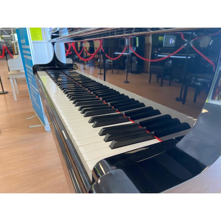 Acquista RIEGER KLOSS MOD. 172 (USATO) online | Merula Strumenti Musicali