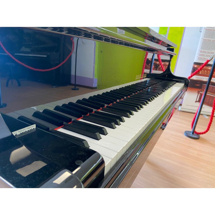 Acquista RIEGER KLOSS MOD. 172 (USATO) online | Merula Strumenti Musicali