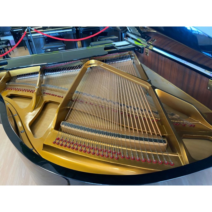 Acquista RIEGER KLOSS MOD. 172 (USATO) online | Merula Strumenti Musicali