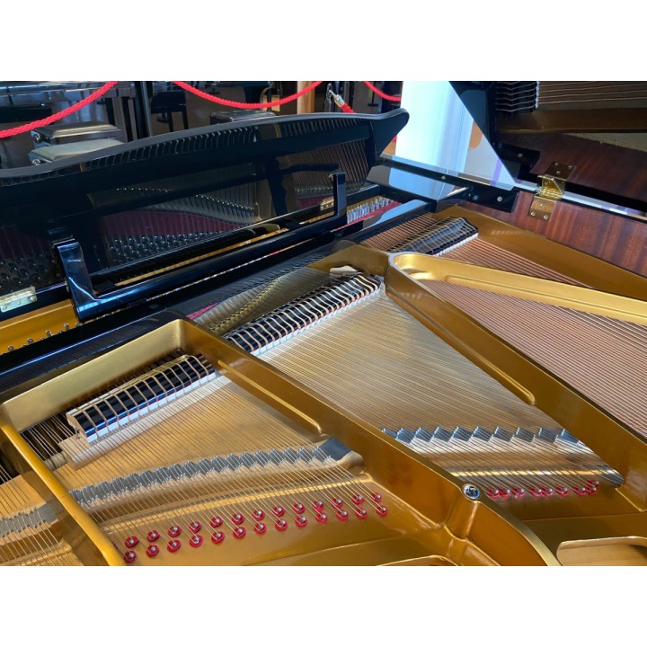 Acquista RIEGER KLOSS MOD. 172 (USATO) online | Merula Strumenti Musicali