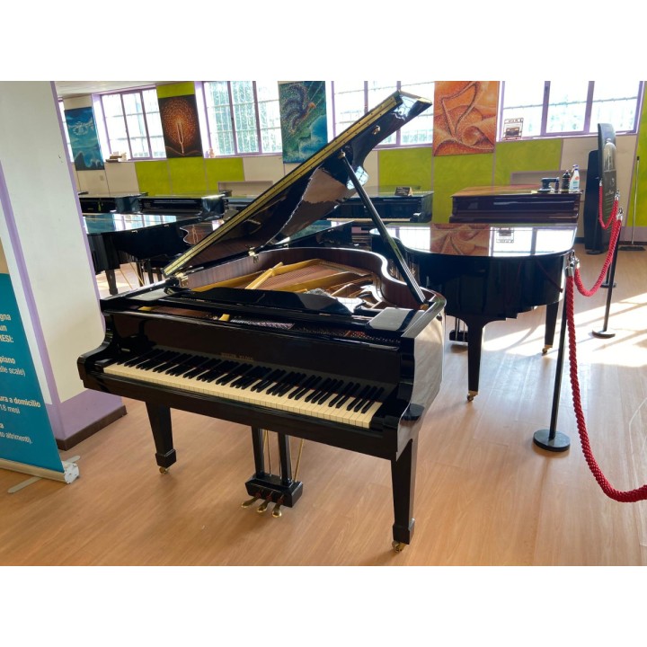 Acquista RIEGER KLOSS MOD. 172 (USATO) online | Merula Strumenti Musicali