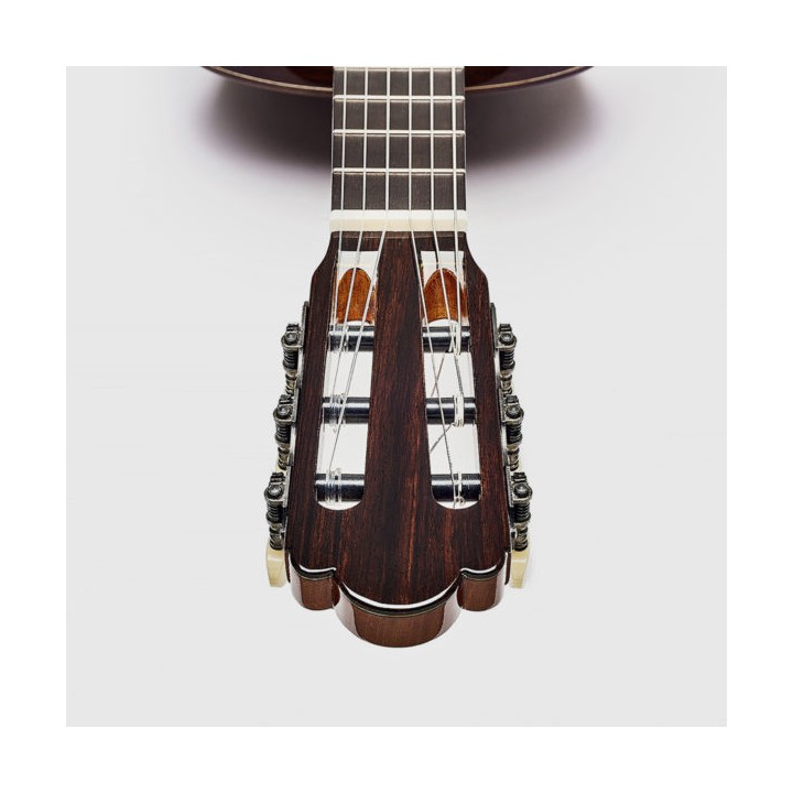 Acquista ESTEVE Manuel Adalid Torres online | Merula Strumenti Musicali