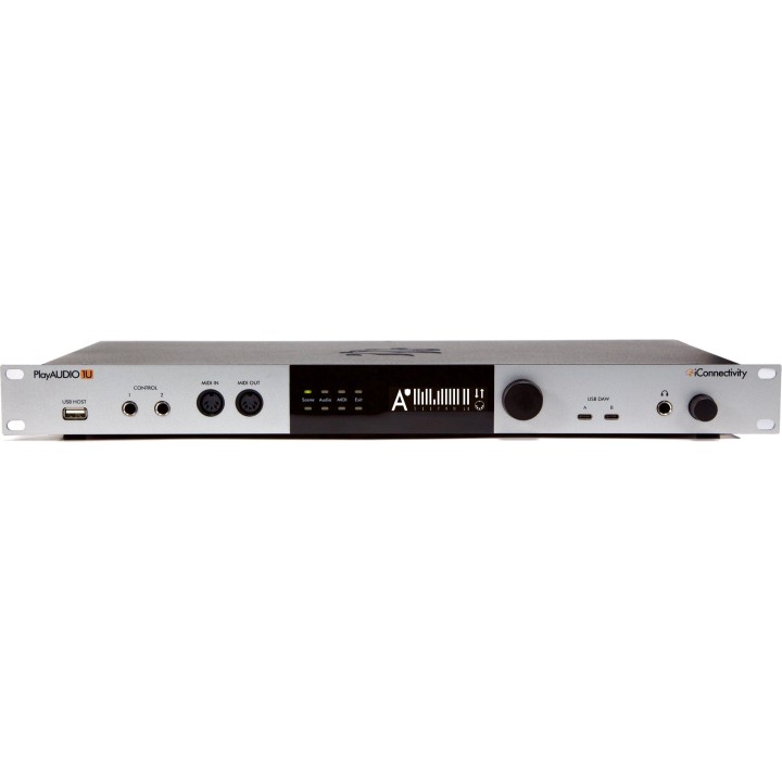Acquista ICONNECTIVITY Playaudio1u online | Merula Strumenti Musicali