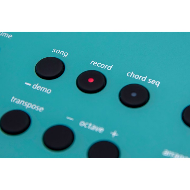 roland go keys 5 tq tastiera digitale