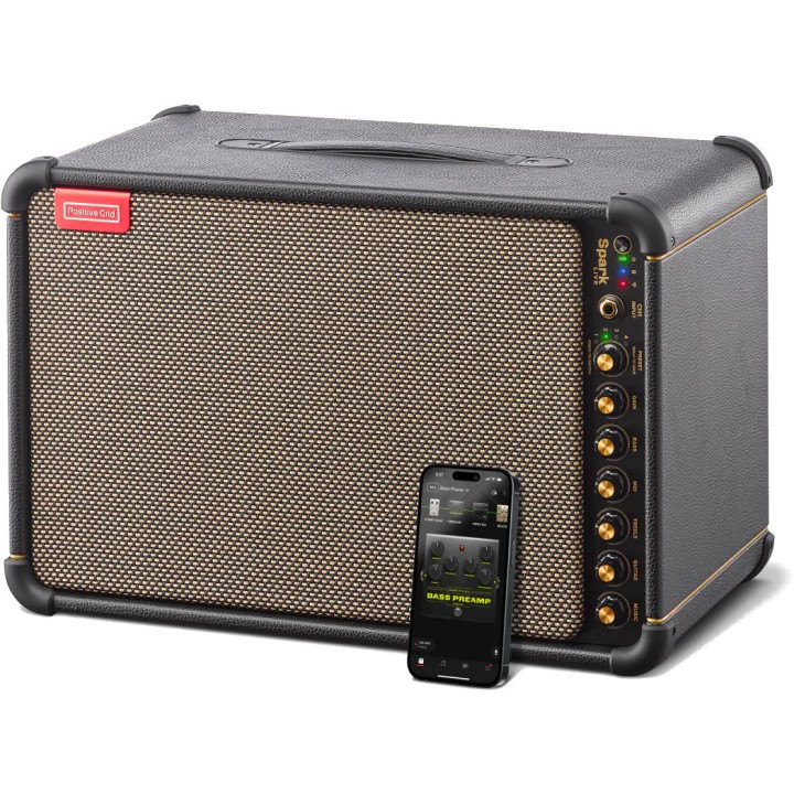 Acquista POSITIVE GRID Spark Live online | Merula Strumenti Musicali