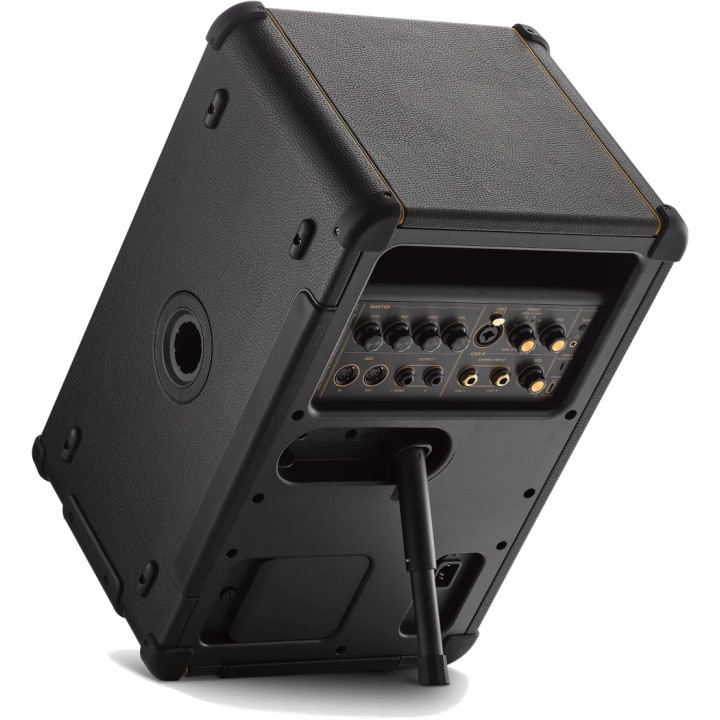 Acquista POSITIVE GRID Spark Live online | Merula Strumenti Musicali