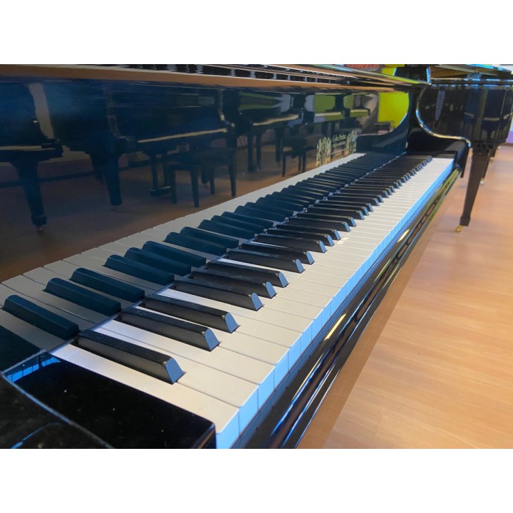 Acquista PERZINA GEBR.PERZINA (USATO) online | Merula Strumenti Musicali