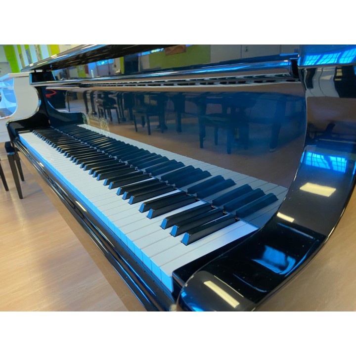 Acquista PERZINA GEBR.PERZINA (USATO) online | Merula Strumenti Musicali