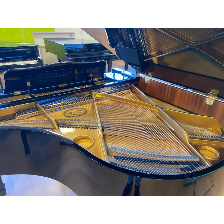 Acquista PERZINA GEBR.PERZINA (USATO) online | Merula Strumenti Musicali