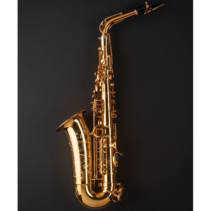 Acquista SELMER Sax Alto Signature Gold online | Merula Strumenti Musicali