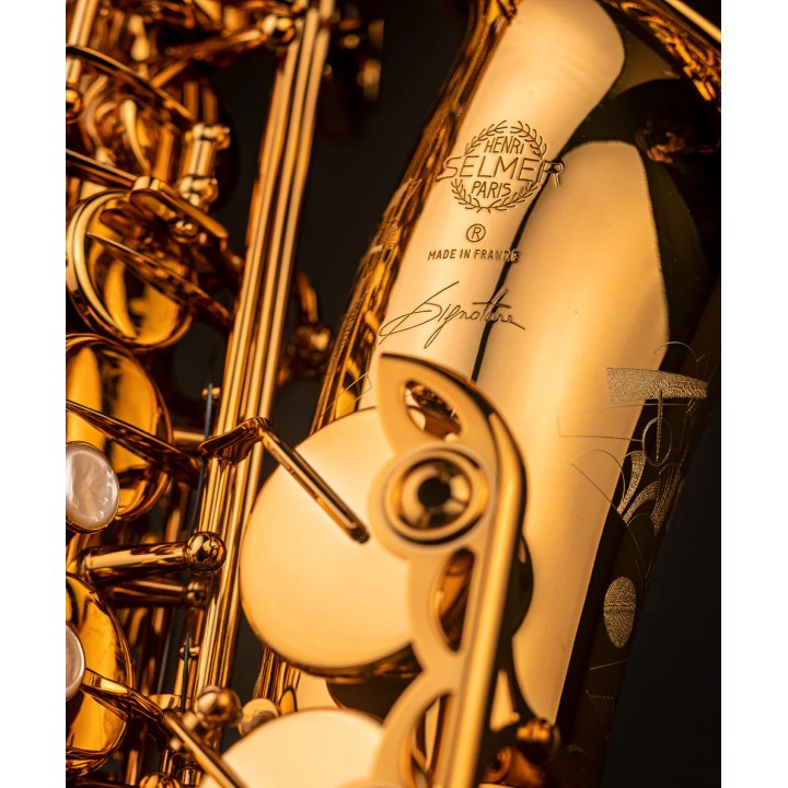 Acquista SELMER Sax Alto Signature Gold online | Merula Strumenti Musicali