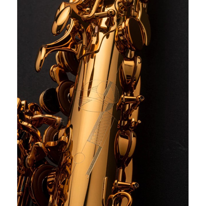 Acquista SELMER Sax Alto Signature Gold online | Merula Strumenti Musicali