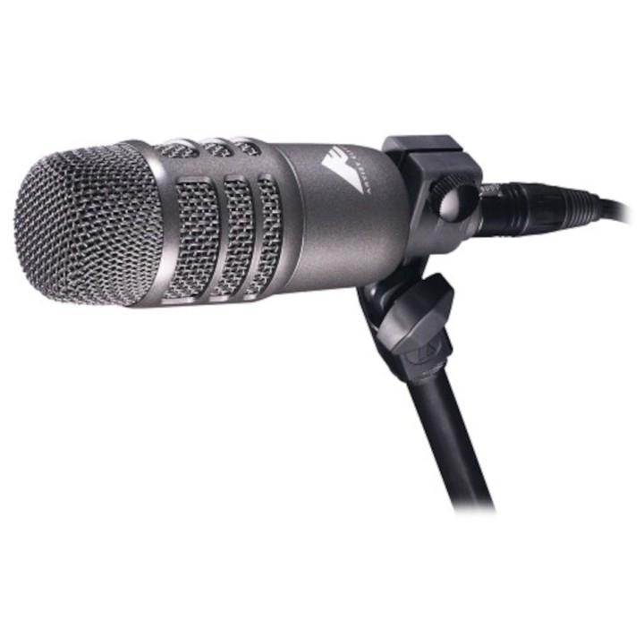 Acquista AUDIO-TECHNICA AE2500 online | Merula Strumenti Musicali