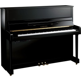 Acquista YAMAHA B3 TC3 PE online | Merula Strumenti Musicali