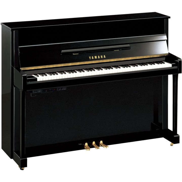Acquista YAMAHA B2ETC3PE online | Merula Strumenti Musicali