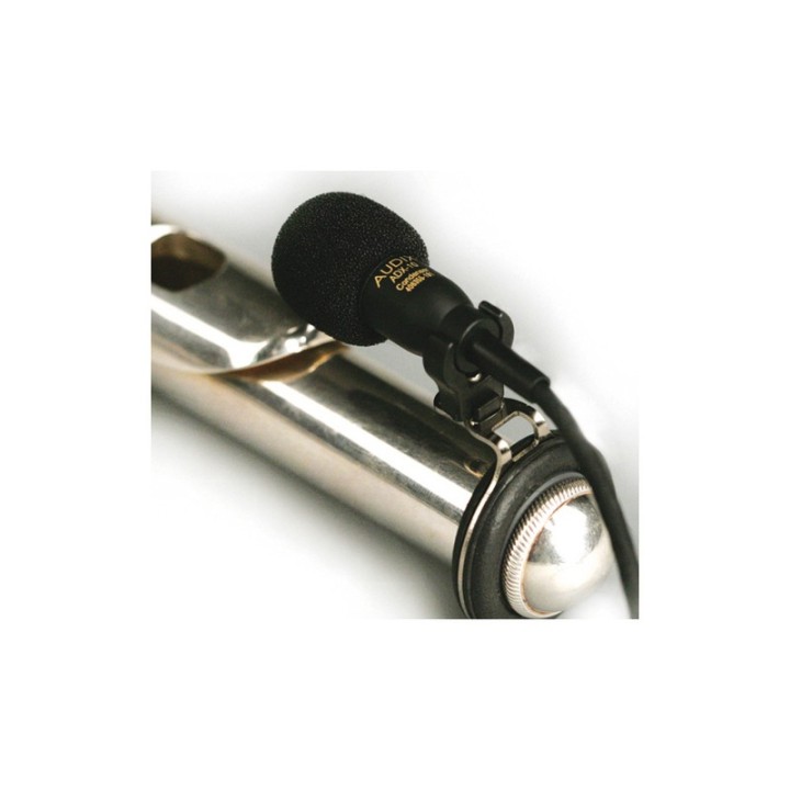 Acquista AUDIX ADX10-FL online | Merula Strumenti Musicali