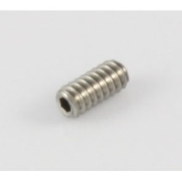 Acquista ALL PARTS GS 0379-005 BRIDGE HEIGHT SCREWS online | Merula Strumenti Musicali