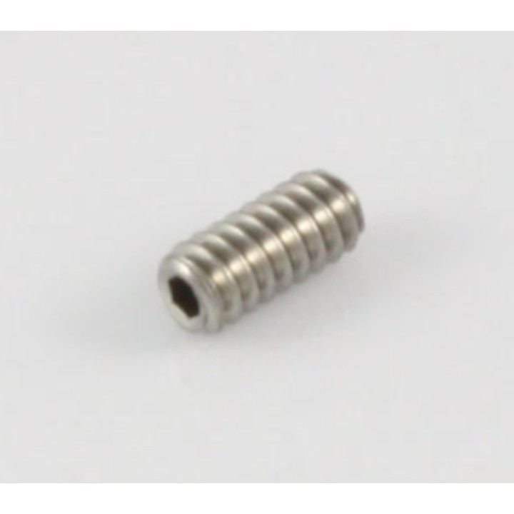 Acquista ALL PARTS GS 0379-005 BRIDGE HEIGHT SCREWS online | Merula Strumenti Musicali