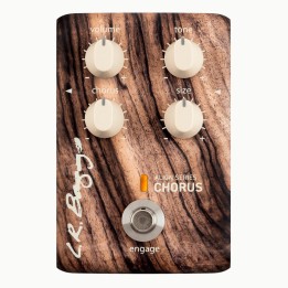 Acquista L. R. BAGGS Align Chorus Chitarra Acustica online | Merula Strumenti Musicali