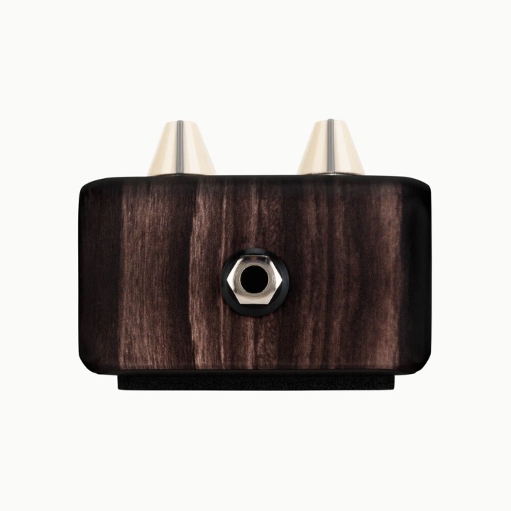 Acquista L. R. BAGGS ALIGN DELAY CHITARRA ACUSTICA online | Merula Strumenti Musicali