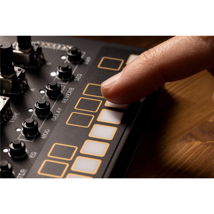 Korg - Nts-1 Mkii