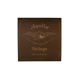 Acquista AQUILA 165U U-Bass 4 4corde Thunderbrown online | Merula Strumenti Musicali
