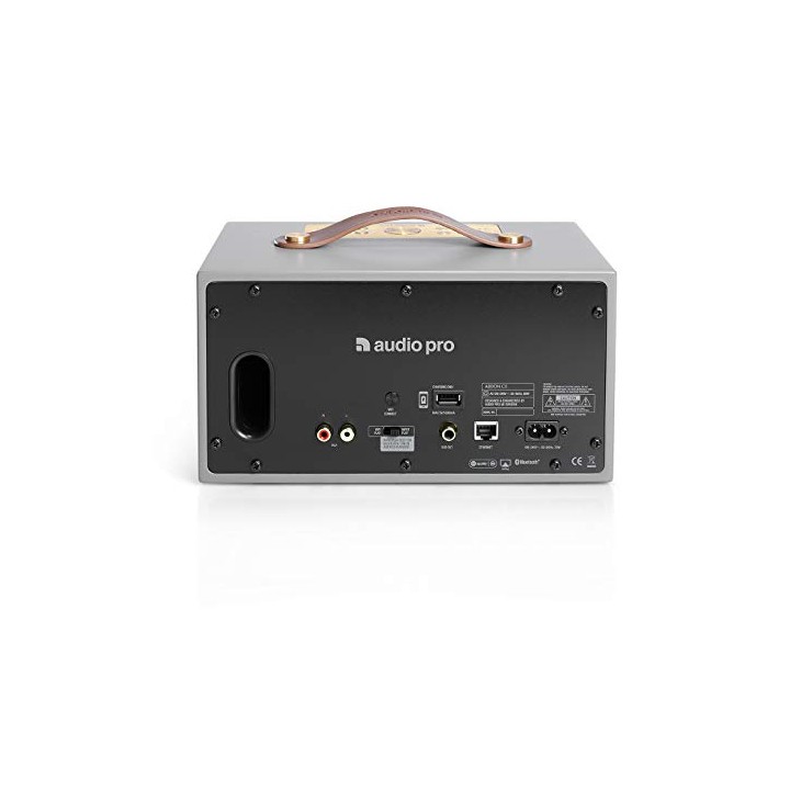 Acquista AUDIO PRO C5 GREY online | Merula Strumenti Musicali