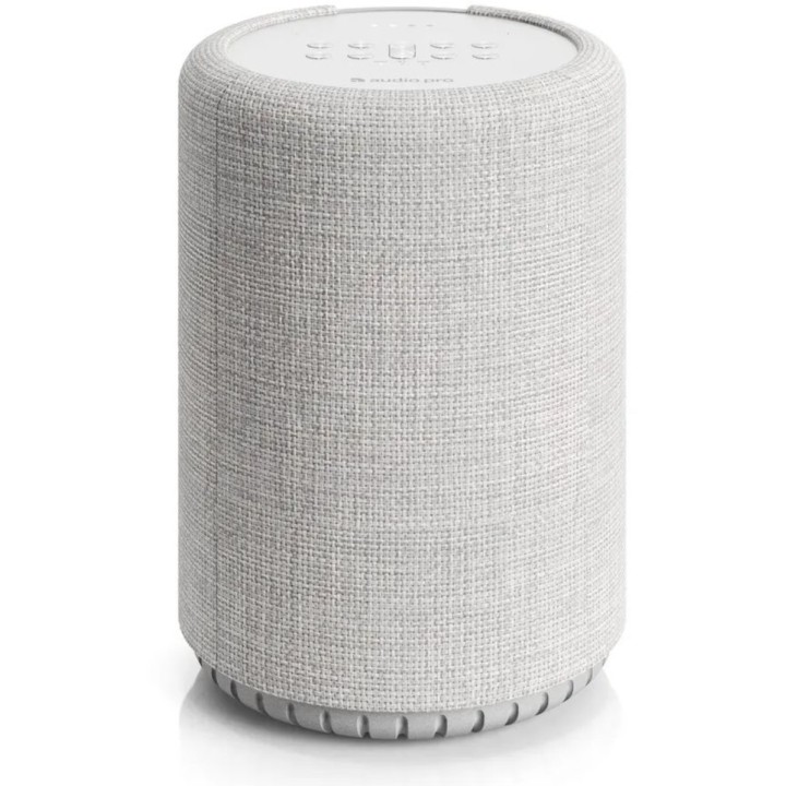 Acquista AUDIO PRO G10 Light Grey online | Merula Strumenti Musicali