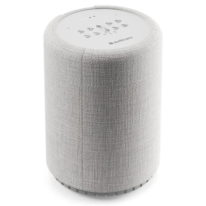Acquista AUDIO PRO G10 Light Grey online | Merula Strumenti Musicali