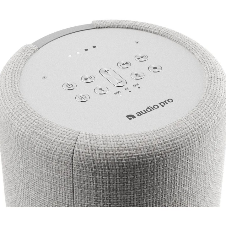 Acquista AUDIO PRO G10 Light Grey online | Merula Strumenti Musicali