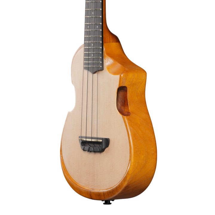 Acquista IBANEZ AUC10E OPN UKULELE CONCERTO ELETTRIFICATO online | Merula Strumenti Musicali
