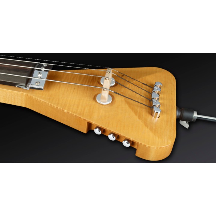 Acquista WARWICK TRIUMPH CONTRABBASSO 4 CORDE NATURAL 2013 online | Merula Strumenti Musicali