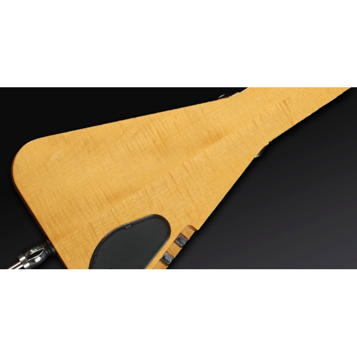 Acquista WARWICK TRIUMPH CONTRABBASSO 4 CORDE NATURAL 2013 online | Merula Strumenti Musicali