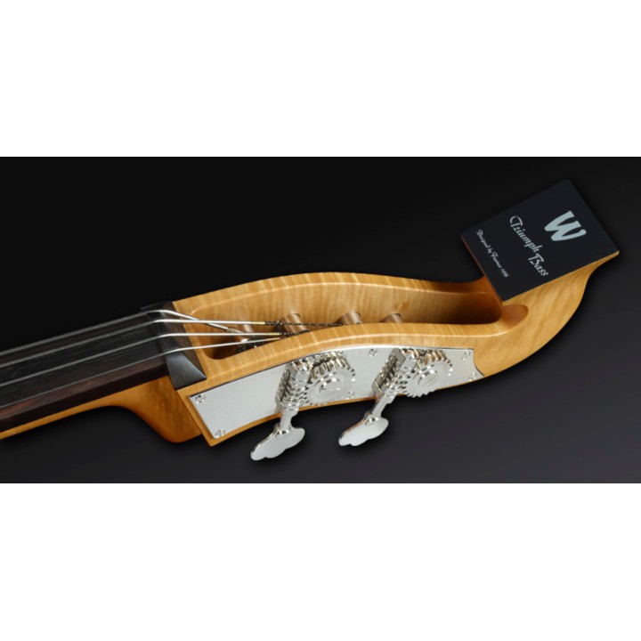 Acquista WARWICK TRIUMPH CONTRABBASSO 4 CORDE NATURAL 2013 online | Merula Strumenti Musicali