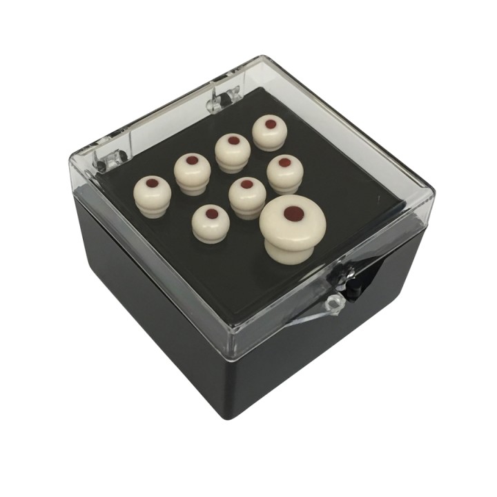 Acquista MARTIN 18APP0002 AUTHENTIC SERIES SET PIN WHITE, TORTOISE INLAY online | Merula Strumenti Musicali
