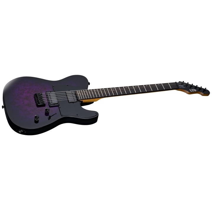 Acquista LTD TE-200DX - PURPLE BURST online | Merula Strumenti Musicali