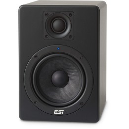 Esi Aktiv 05 Monitor Nearfield